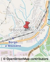 Assicurazioni Borgo a Mozzano,55023Lucca