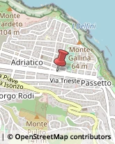 Erboristerie Ancona,60123Ancona