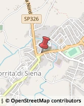 Tour Operator e Agenzia di Viaggi Torrita di Siena,53049Siena