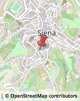 Copisterie Siena,53100Siena