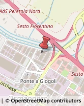 Borse - Dettaglio Sesto Fiorentino,50019Firenze