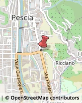 Ingegneri Pescia,51017Pistoia