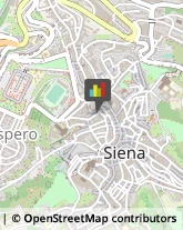 Sartorie Siena,53100Siena