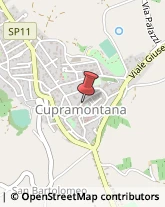 Sartorie Cupramontana,60034Ancona