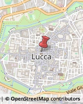 Locali, Birrerie e Pub,55100Lucca