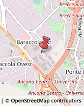 Imprese Edili Ancona,60131Ancona