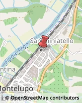 Stirerie Montelupo Fiorentino,50056Firenze