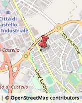 Brokers e Agenti di Assicurazione Città di Castello,06012Perugia