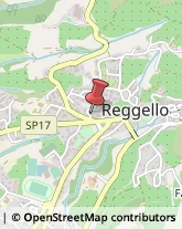 Protezione Civile - Servizi Reggello,50066Firenze