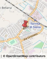 Gelaterie Torrita di Siena,53049Siena