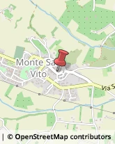 Associazioni di Volontariato e di Solidarietà Monte San Vito,60037Ancona