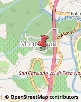 Calce San Casciano in Val di Pesa,50026Firenze