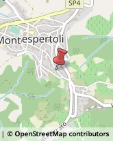 Argenterie - Dettaglio Montespertoli,50025Firenze