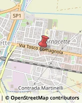 ,56012Pisa