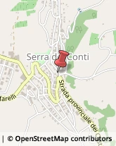 Piante e Fiori - Dettaglio Serra De' Conti,60030Ancona