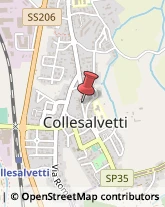 Biblioteche Private e Pubbliche Collesalvetti,57014Livorno