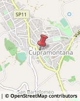 Elettrauto Cupramontana,60034Ancona