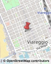 Calzaturifici e Calzolai - Forniture Viareggio,55049Lucca