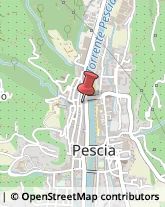 Uffici - Arredamento Pescia,51017Pistoia