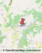 Comuni e Servizi Comunali Vallebona,18012Imperia