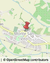 Aziende Agricole Monte San Vito,60037Ancona