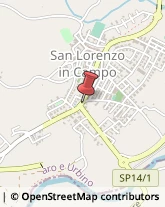 Erboristerie San Lorenzo in Campo,61047Pesaro e Urbino