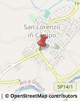 Laboratori Odontotecnici San Lorenzo in Campo,61047Pesaro e Urbino