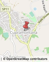 Notai Cupramontana,60034Ancona