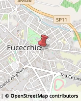 Autotrasporti Fucecchio,50050Firenze