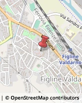 Farmacie Figline e Incisa Valdarno,50063Firenze