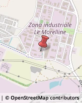 Guarnizioni Industriali,57016Livorno