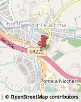 ,50012Firenze