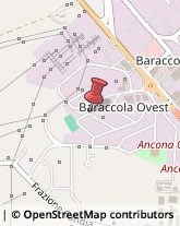 Articoli da Regalo - Produzione e Ingrosso Ancona,60020Ancona