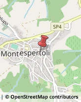 Macellerie Montespertoli,50025Firenze