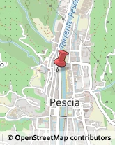 Comuni e Servizi Comunali Pescia,51017Pistoia