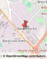 Erboristerie Ancona,60131Ancona
