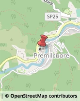 Scuole Pubbliche Premilcuore,47010Forlì-Cesena