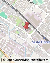 Giornalisti Sesto Fiorentino,50019Firenze