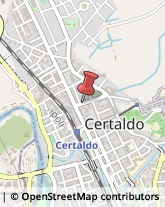 Assicurazioni Certaldo,50052Firenze