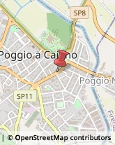 Autobus, Minibus e Filobus Poggio a Caiano,59016Prato