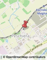 Agenti e Rappresentanti di Commercio,62100Macerata