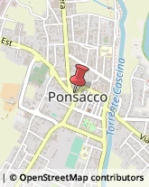 Pasticcerie - Dettaglio Ponsacco,56038Pisa