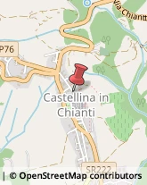 Asili Nido Castellina in Chianti,53011Siena