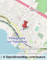 Palestre e Centri Fitness Passignano sul Trasimeno,06065Perugia