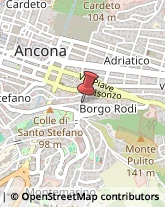 Accademie Ancona,60124Ancona