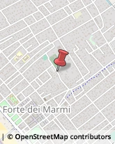 Piante e Fiori - Dettaglio Forte dei Marmi,55042Lucca