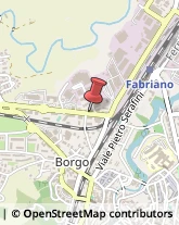 Notai Fabriano,60044Ancona