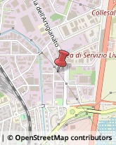 Consulenza Informatica,57121Livorno