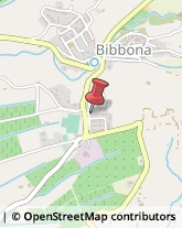 Internet - Provider Bibbona,57020Livorno