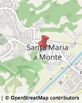 Alimentari Santa Maria a Monte,56020Pisa